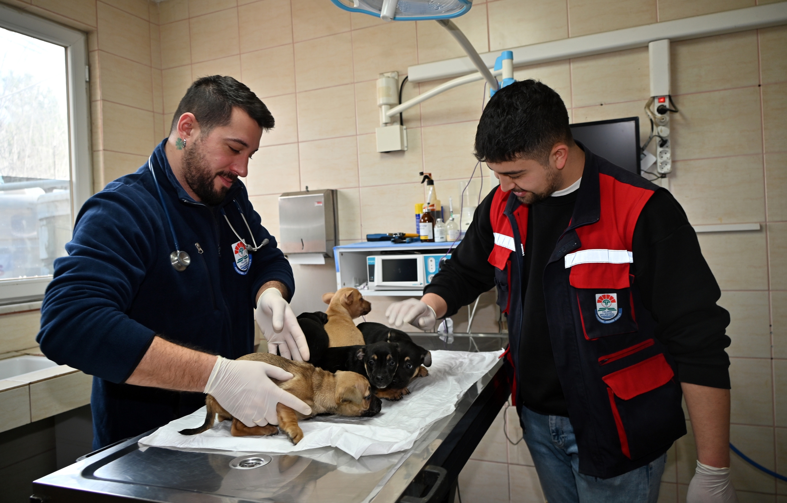 YALOVA BELEDİYESİ’NDEN SAHİPSİZ YAVRULARA ŞEFKAT ELİ 4 YALOVA BELEDİYESİ’NDEN SAHİPSİZ YAVRULARA ŞEFKAT ELİ