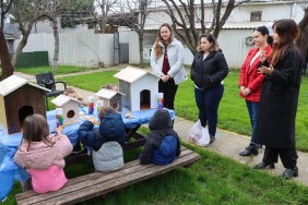 CAN DOSTLARA, GERİ DÖNÜŞTÜRÜLMÜŞ SICAK YUVALAR