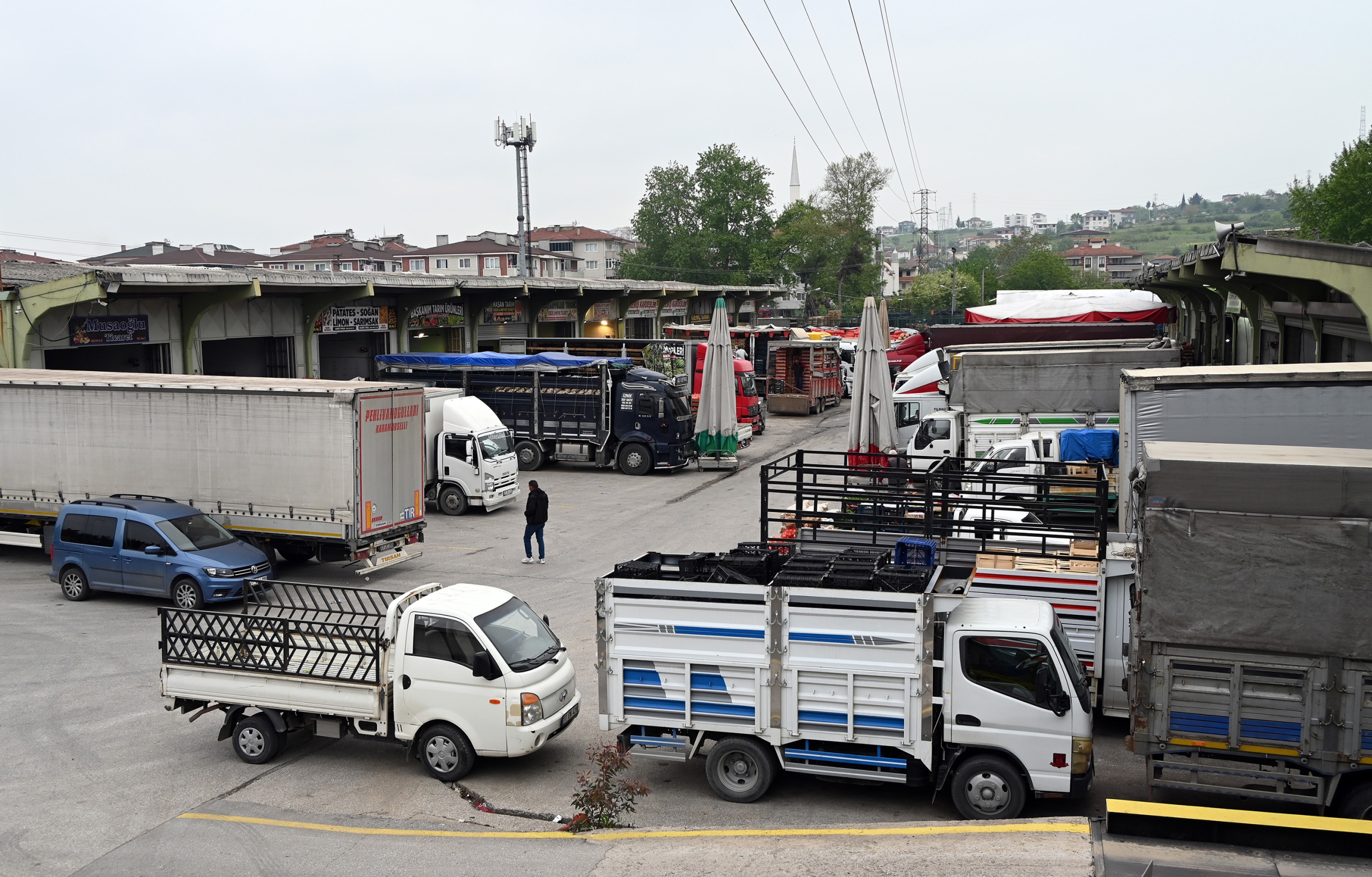 Yalova Yaş Sebze ve Meyve Hali’nde Rekor: 2025’te Tüketim 43 Bin Tonu Aştı