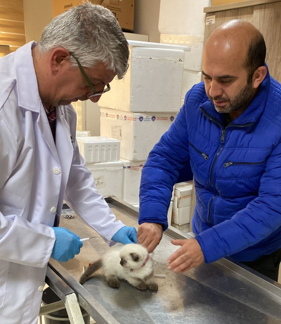 Yalova’da Hayvan Sağlığı İçin Kapsamlı Çalışmalar 2025 Boyunca Aralıksız Devam Etti