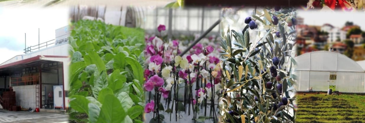 Mustafa İlmeç Tarım Orman Ekranı’nda Yalova Tarımının Gücünü Anlattı