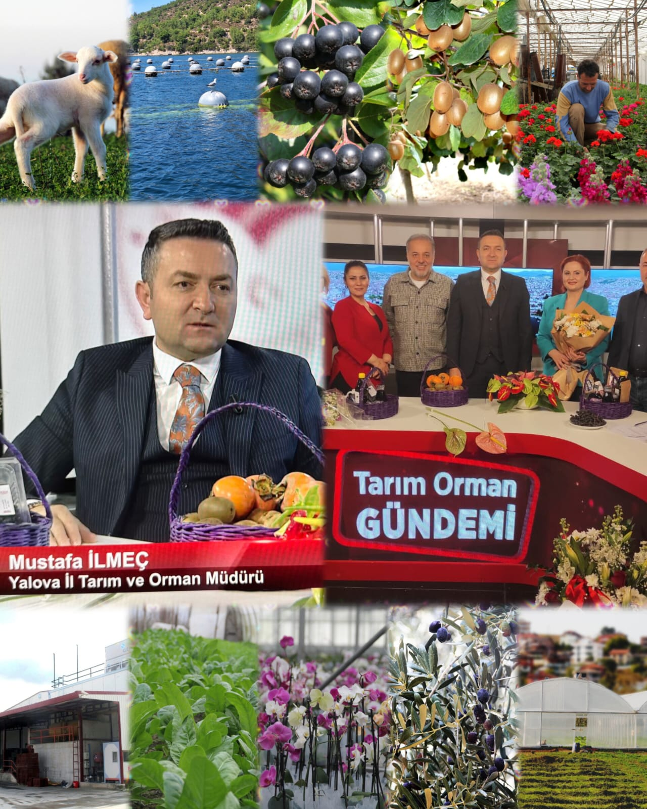 Mustafa İlmeç Tarım Orman Ekranı’nda Yalova Tarımının Gücünü Anlattı