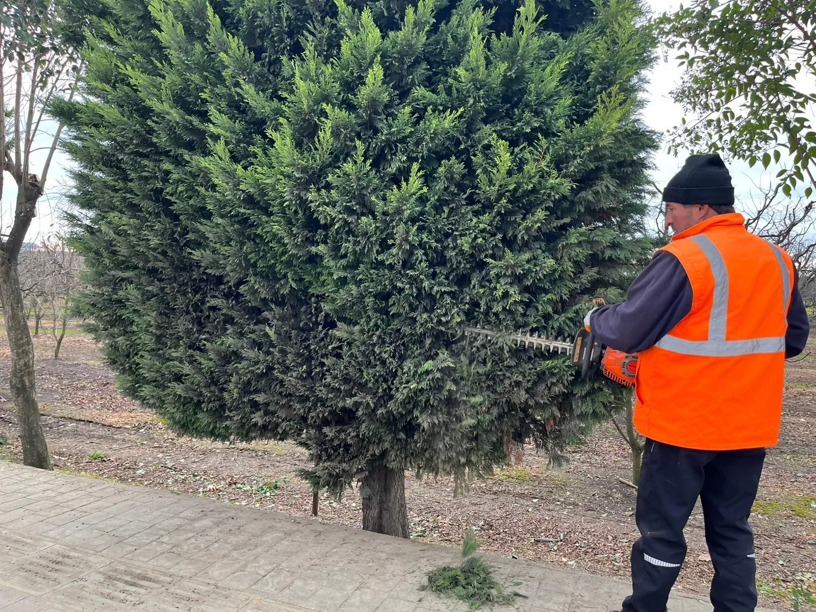 Altınova’da Hizmet Atağı Hız Kesmeden Sürüyor: Belediye Ekipleri Dört Koldan Sahada