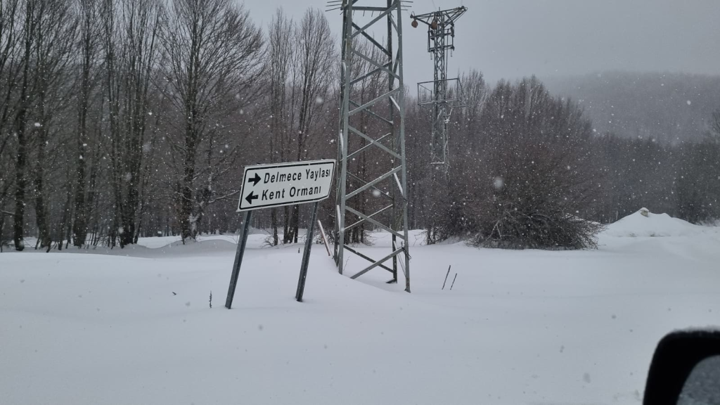 Teşvikiye Delmece Yaylası’nda Kar ve Tipiye Rağmen Zamanla Yarış: 1’i Çocuk 5 Vatandaş Kurtarıldı