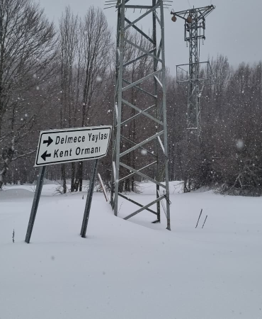 Teşvikiye Delmece Yaylası’nda Kar ve Tipiye Rağmen Zamanla Yarış: 1’i Çocuk 5 Vatandaş Kurtarıldı