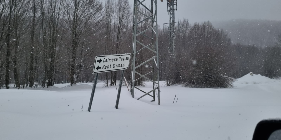 Teşvikiye Delmece Yaylası’nda Kar ve Tipiye Rağmen Zamanla Yarış: 1’i Çocuk 5 Vatandaş Kurtarıldı
