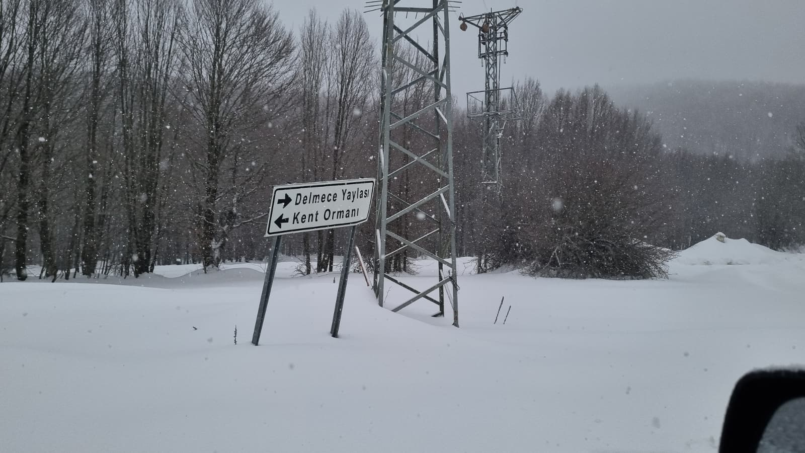 Teşvikiye Delmece Yaylası’nda Kar ve Tipiye Rağmen Zamanla Yarış: 1’i Çocuk 5 Vatandaş Kurtarıldı