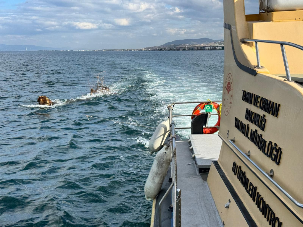 Denizde Seyir Güvenliğini Tehdit Eden Yüzen Ağaç Ekiplerce Kıyıya Çekildi