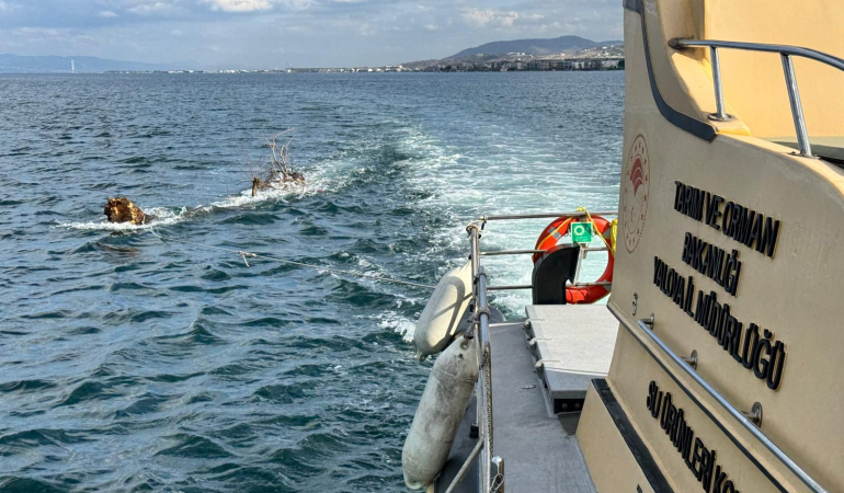 Denizde Seyir Güvenliğini Tehdit Eden Yüzen Ağaç Ekiplerce Kıyıya Çekildi