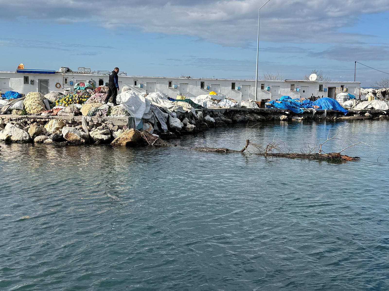 Denizde Seyir Güvenliğini Tehdit Eden Yüzen Ağaç Ekiplerce Kıyıya Çekildi