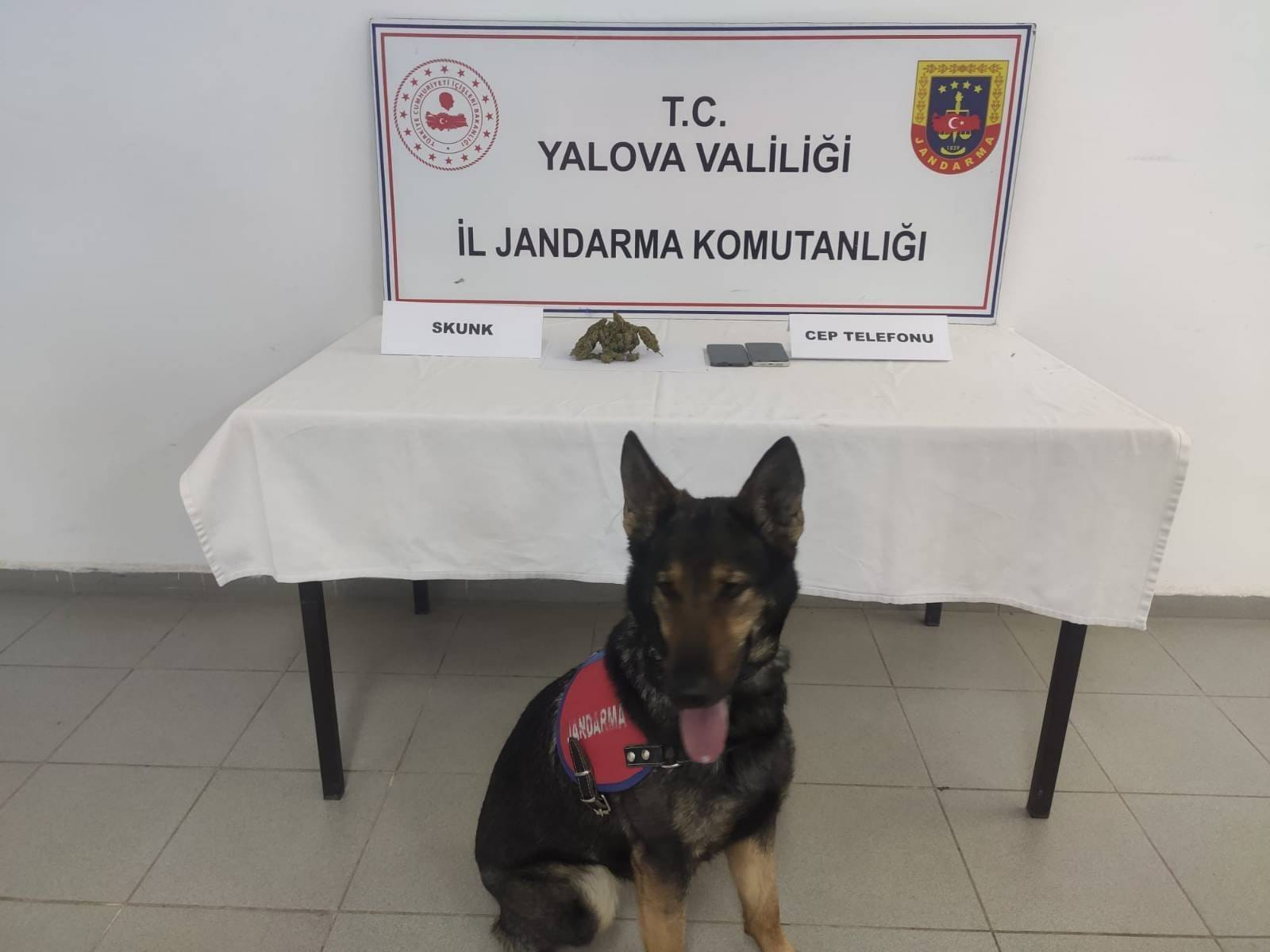 Yalova’da Uyuşturucuya Geçit Yok: Kadıköy’de Skunk Operasyonu 4 Yalova’da Uyuşturucuya Geçit Yok: Kadıköy’de Skunk Operasyonu