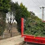 Altınova’da Hizmet Atağı Hız Kesmeden Sürüyor: Belediye Ekipleri Dört Koldan Sahada