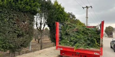 Altınova’da Hizmet Atağı Hız Kesmeden Sürüyor: Belediye Ekipleri Dört Koldan Sahada
