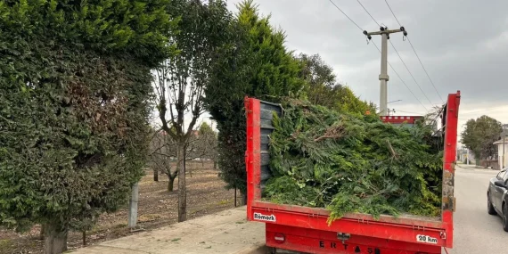 Altınova’da Hizmet Atağı Hız Kesmeden Sürüyor: Belediye Ekipleri Dört Koldan Sahada