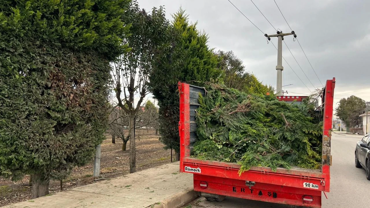 Altınova’da Hizmet Atağı Hız Kesmeden Sürüyor: Belediye Ekipleri Dört Koldan Sahada