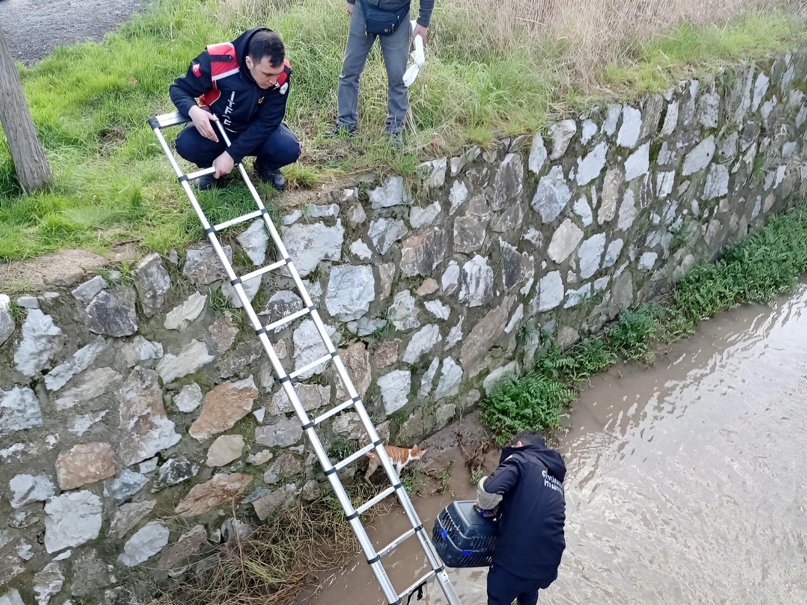 ÇİFTLİKKÖY İTFAİYESİ’NDEN KUŞ VE KEDİ KURTARMA OPERASYONLARI 1 ÇİFTLİKKÖY İTFAİYESİ’NDEN KUŞ VE KEDİ KURTARMA OPERASYONLARI