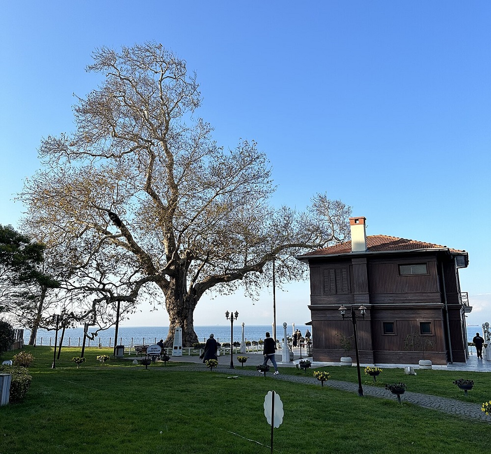 Yalova’nın Tarihi Mirası Alarm Veriyor: Yürüyen Köşk İskelesi Bakımsızlığa Terk Edildi 1 Yalova’nın Tarihi Mirası Alarm Veriyor: Yürüyen Köşk İskelesi Bakımsızlığa Terk Edildi