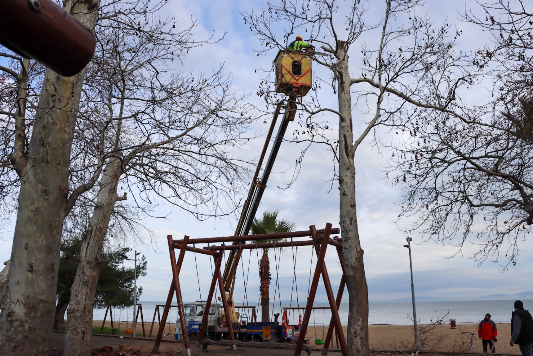 GAZİ PAŞA CADDESİ’NDE BUDAMA DEVAM EDİYOR