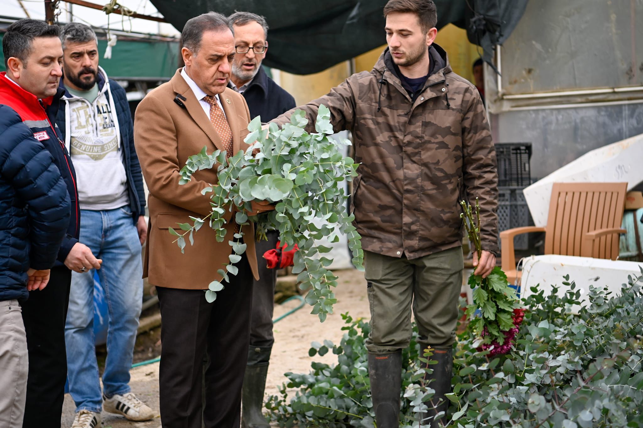 Vali Dr. Ahmet Hamdi Usta’dan Koru’da Kesme Çiçek Üreticilerine Ziyaret