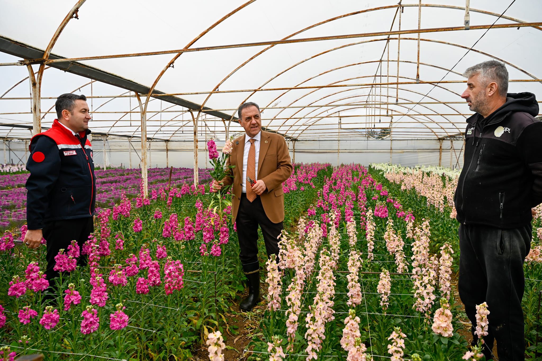 Vali Dr. Ahmet Hamdi Usta’dan Koru’da Kesme Çiçek Üreticilerine Ziyaret