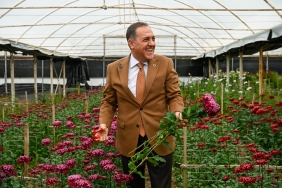 Vali Dr. Ahmet Hamdi Usta’dan Koru’da Kesme Çiçek Üreticilerine Ziyaret