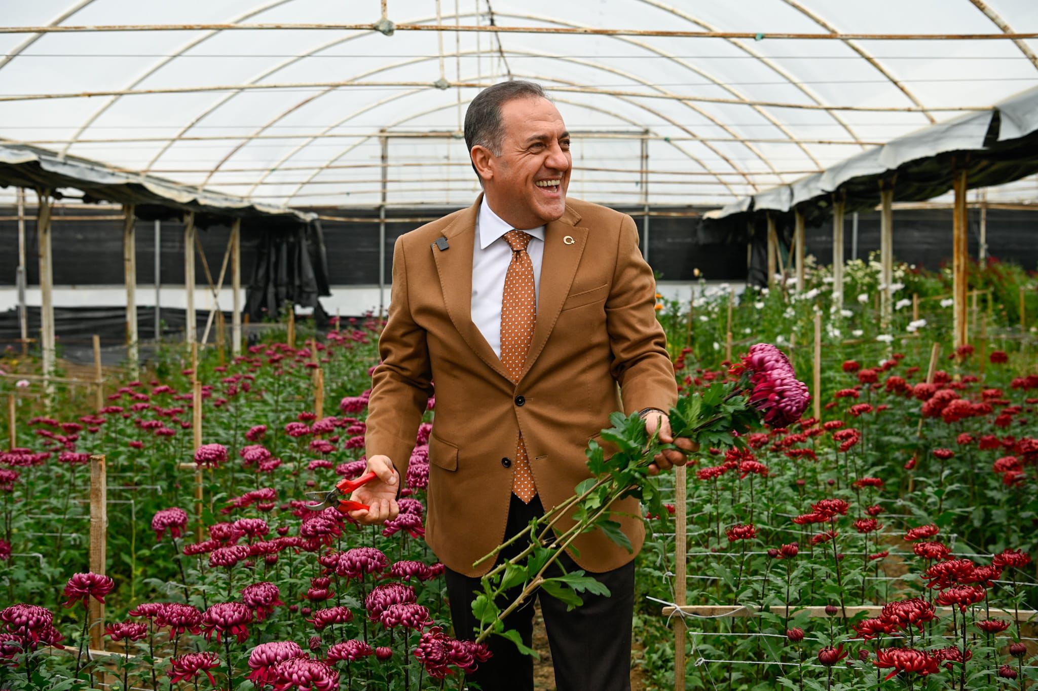 Vali Dr. Ahmet Hamdi Usta’dan Koru’da Kesme Çiçek Üreticilerine Ziyaret