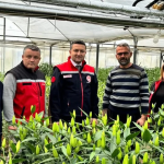 Sevgililer Günü Öncesi Yalova’da Çiçek Üreticilerine Moral Ziyareti