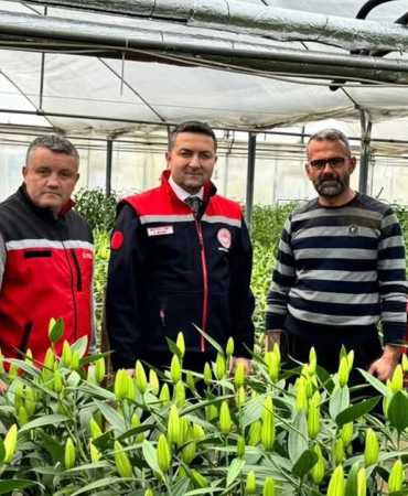 Sevgililer Günü Öncesi Yalova’da Çiçek Üreticilerine Moral Ziyareti