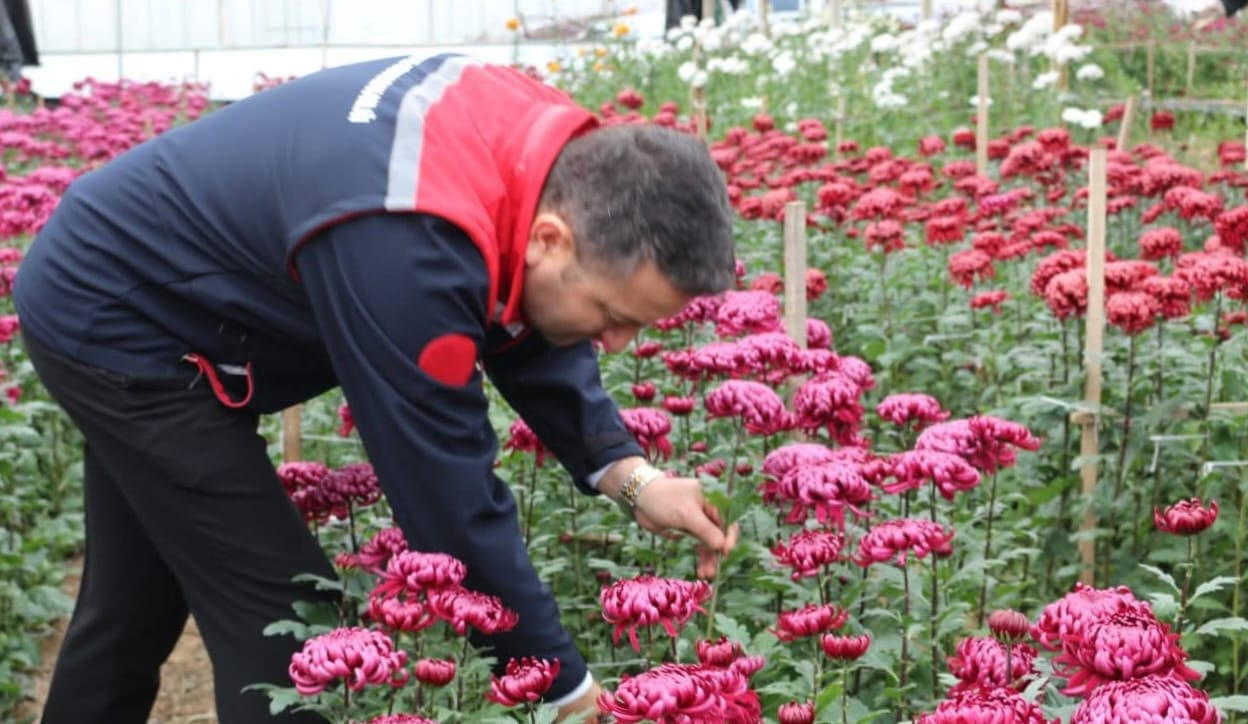 Sevgililer Günü Öncesi Yalova’da Çiçek Üreticilerine Moral Ziyareti