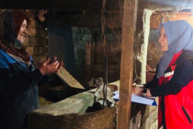 Yalova’da “Gebe İnek ve Sağlıklı Buzağı” Projesi Başladı: Teknik Ekip Sahaya İndi