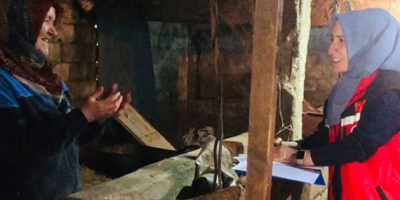 Yalova’da “Gebe İnek ve Sağlıklı Buzağı” Projesi Başladı: Teknik Ekip Sahaya İndi