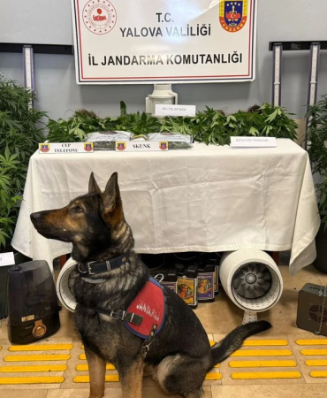 Yalova’da Skunk Operasyonu: İklimlendirme Sistemiyle Uyuşturucu Yetiştiren 2 Şüpheli Tutuklandı