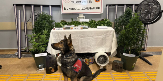 Yalova’da Skunk Operasyonu: İklimlendirme Sistemiyle Uyuşturucu Yetiştiren 2 Şüpheli Tutuklandı