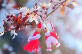 ÇİFTLİKKÖY’DE MARTENİÇKA GELENEĞİ YAŞATILACAK