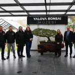 Yalova Bonsai Müzesi: Türkiye’nin İlk, Avrupa’nın En Büyük Bonsai Müzesi Yalova’da