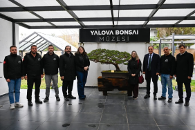 Yalova Bonsai Müzesi: Türkiye’nin İlk, Avrupa’nın En Büyük Bonsai Müzesi Yalova’da