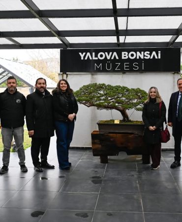 Yalova Bonsai Müzesi: Türkiye’nin İlk, Avrupa’nın En Büyük Bonsai Müzesi Yalova’da