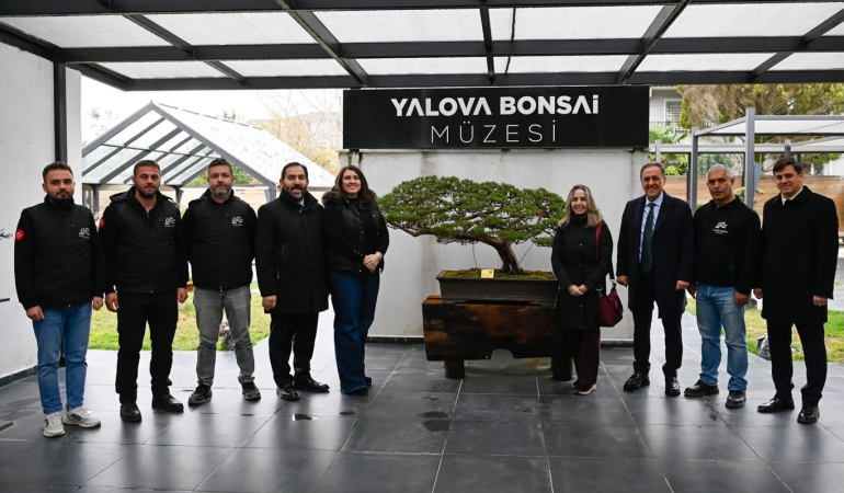 Yalova Bonsai Müzesi: Türkiye’nin İlk, Avrupa’nın En Büyük Bonsai Müzesi Yalova’da