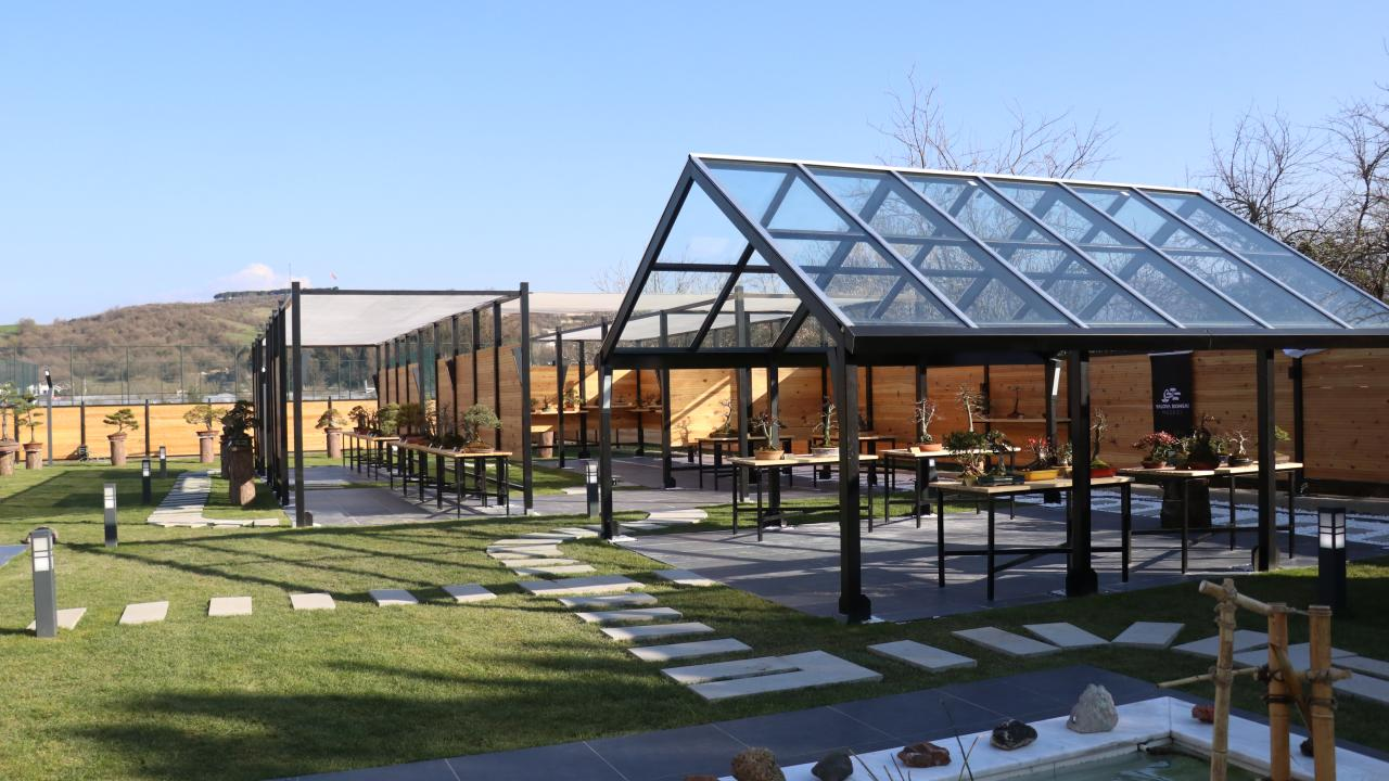 Yalova Bonsai Müzesi: Türkiye’nin İlk, Avrupa’nın En Büyük Bonsai Müzesi Yalova’da