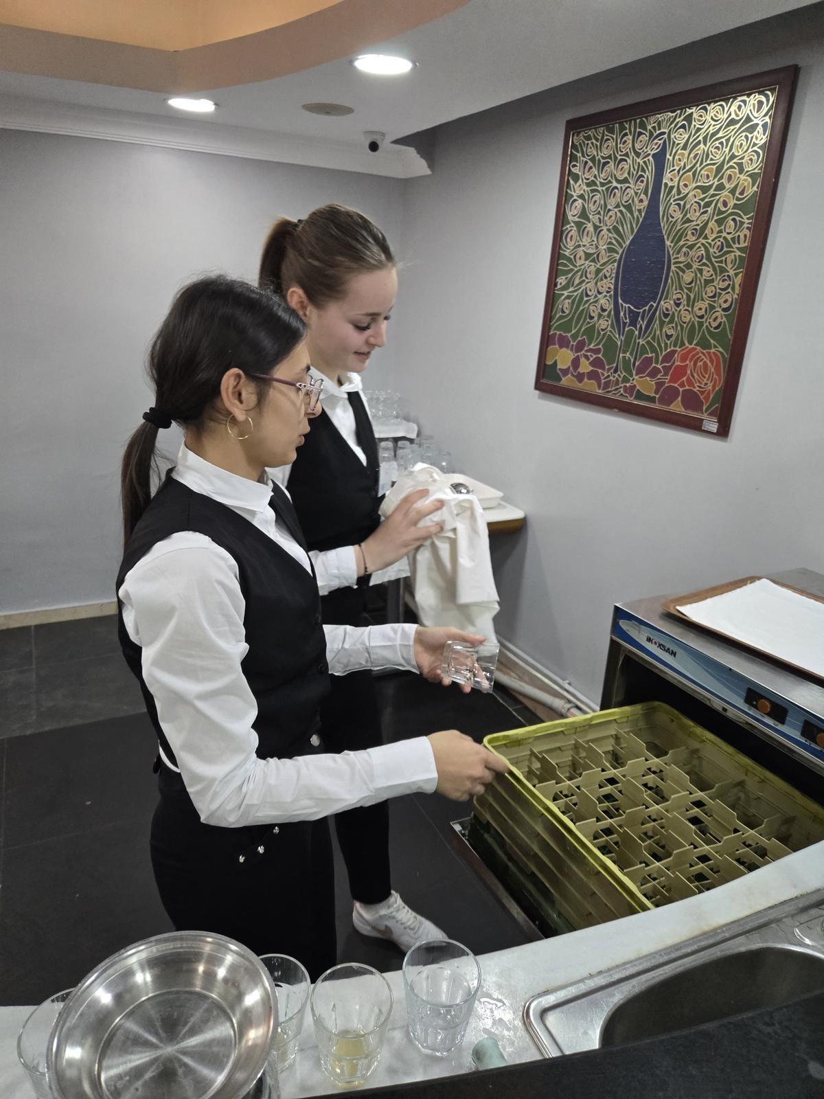 Romanyalı Öğrenciler Erasmus+ Kapsamında Yalova’da Staj Yapıyor