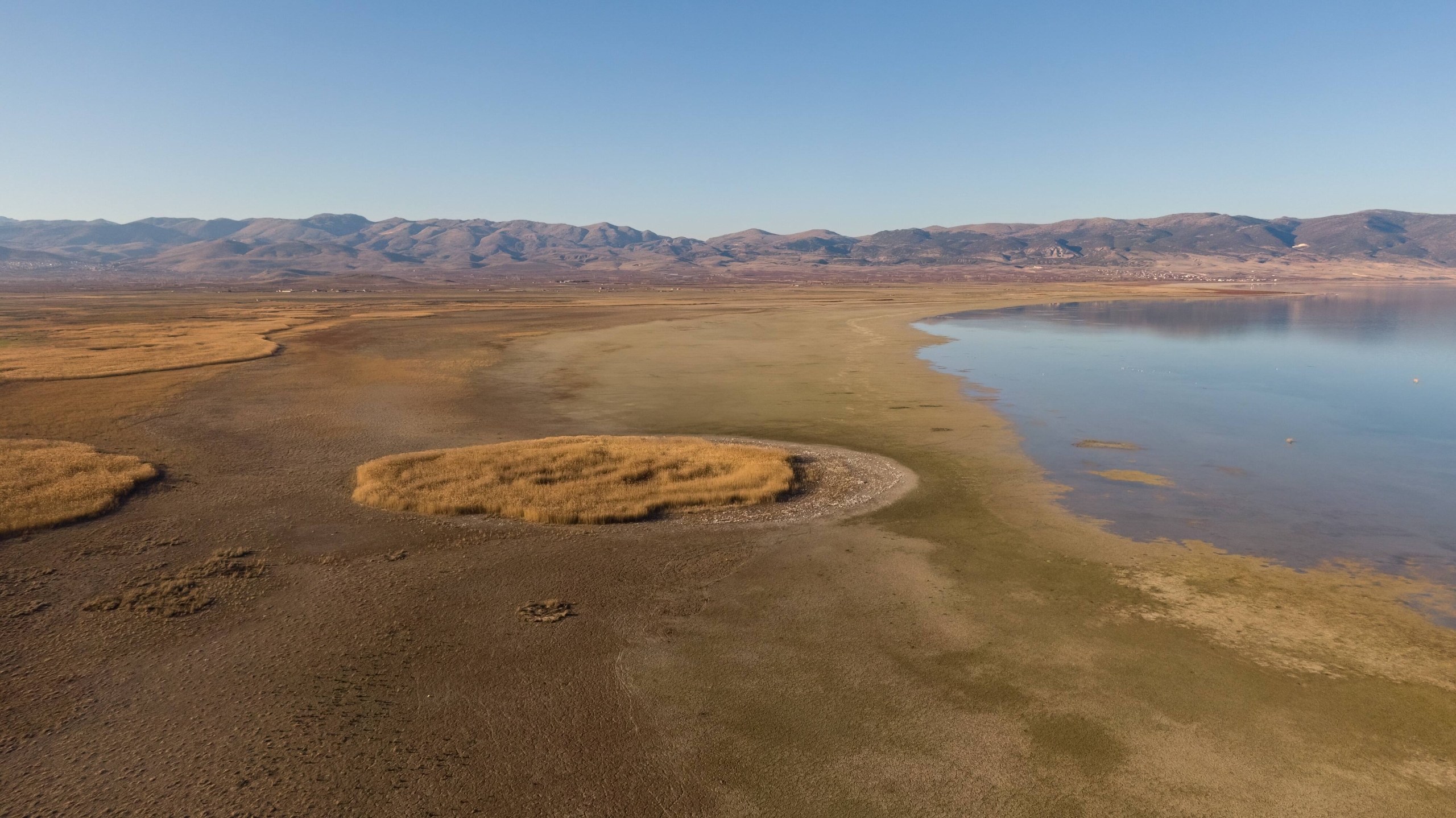 Su ve Orman: Doğanın, Refahın ve Eşitliğin Temel Taşları