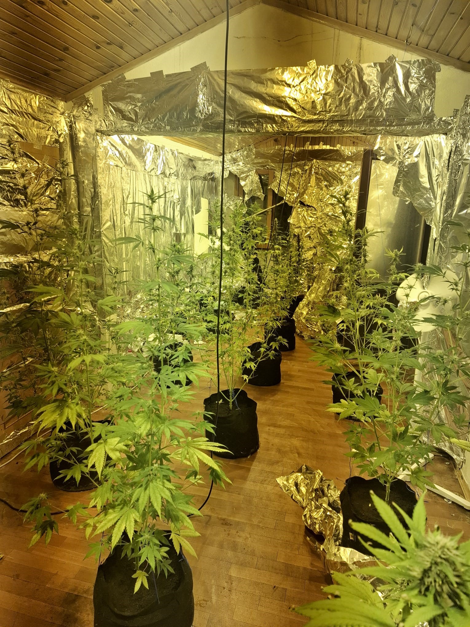 Bursa’da Narkotik Operasyonu: 7 Suçtan Aranan Hükümlü Yakalandı, Uyuşturucu Düzeneği Ele Geçirildi 4 Bursa’da Narkotik Operasyonu: 7 Suçtan Aranan Hükümlü Yakalandı, Uyuşturucu Düzeneği Ele Geçirildi