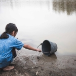 Su ve Orman: Doğanın, Refahın ve Eşitliğin Temel Taşları