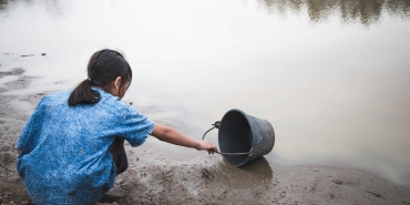 Su ve Orman: Doğanın, Refahın ve Eşitliğin Temel Taşları
