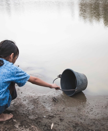 Su ve Orman: Doğanın, Refahın ve Eşitliğin Temel Taşları