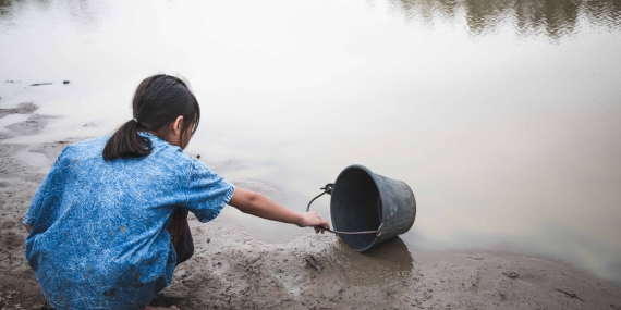 Su ve Orman: Doğanın, Refahın ve Eşitliğin Temel Taşları