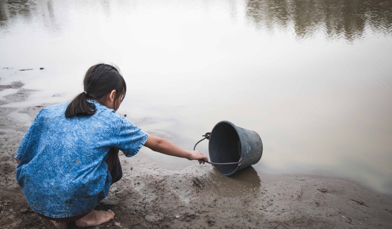 Su ve Orman: Doğanın, Refahın ve Eşitliğin Temel Taşları