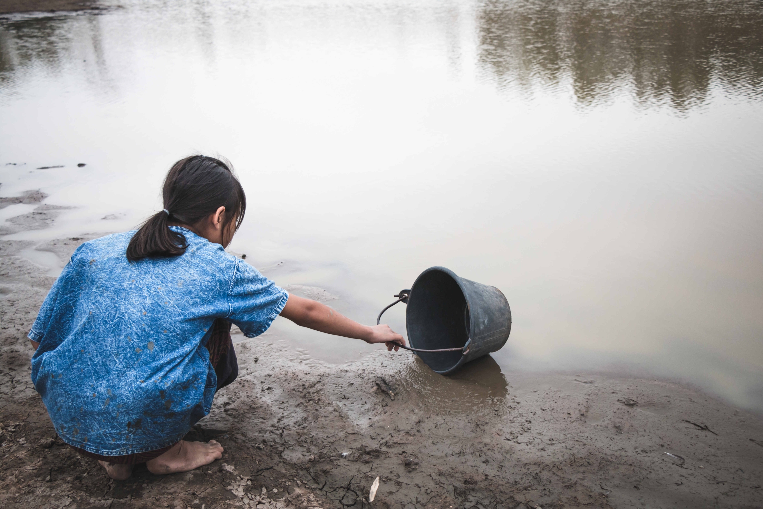 Su ve Orman: Doğanın, Refahın ve Eşitliğin Temel Taşları