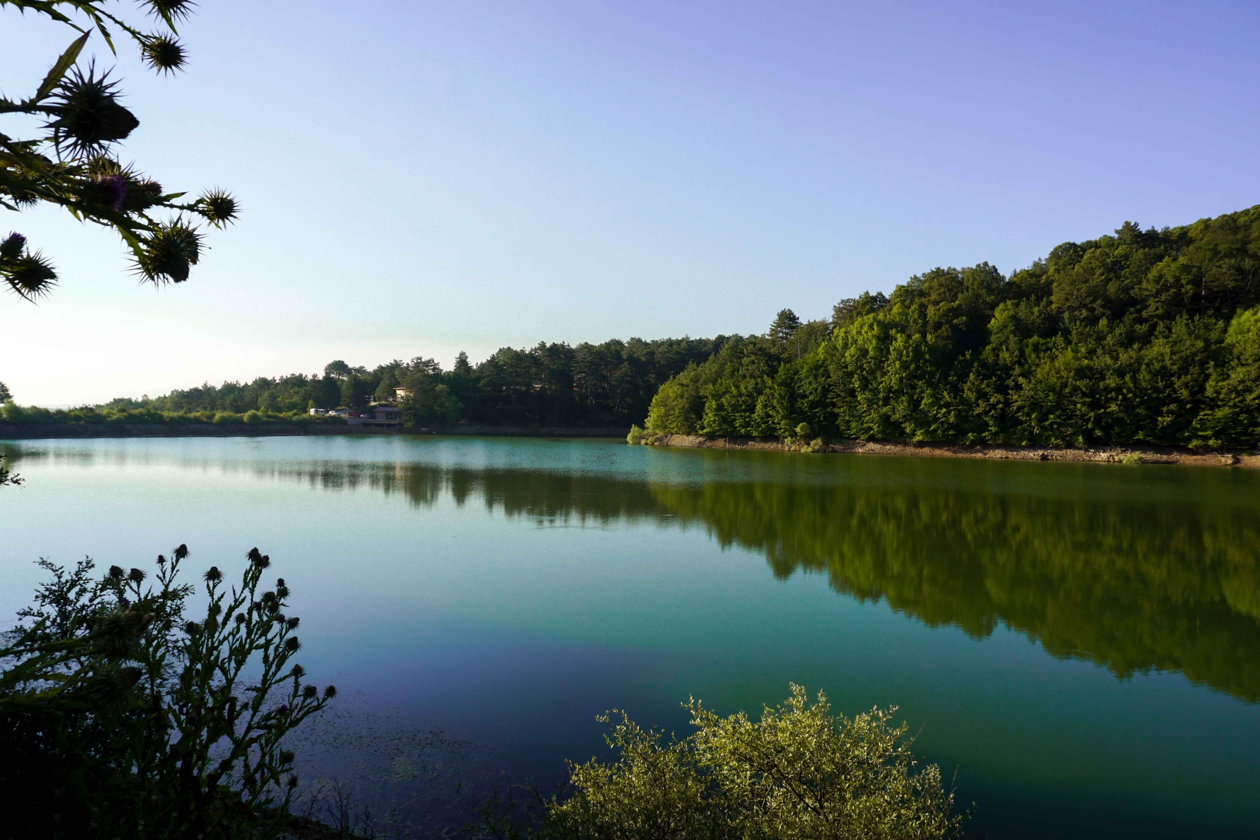 Su ve Orman: Doğanın, Refahın ve Eşitliğin Temel Taşları