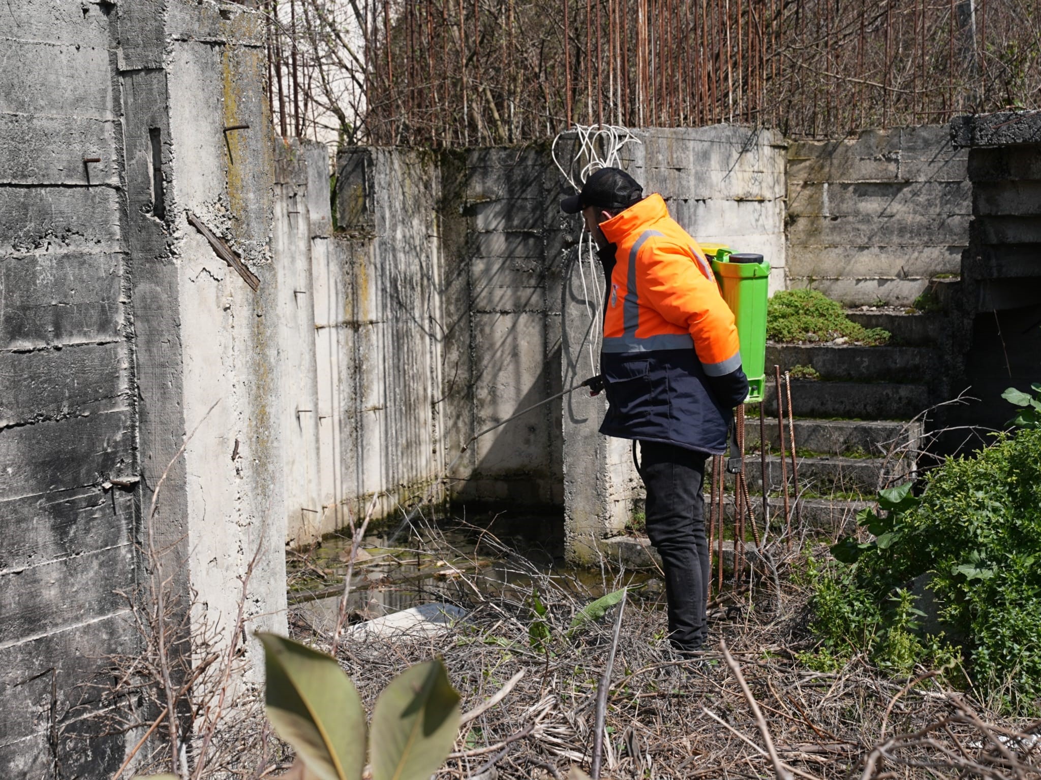 SİVRİSİNEK VE KARASİNEKLERLE MÜCADELE ARALIKSIZ SÜRÜYOR